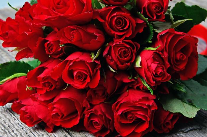 谈恋爱送对象玫瑰花的花语与含义-起源及寓意